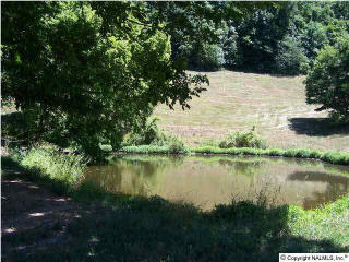 5825 Beech Hill Rd, Pulaski, TN 38478-7011