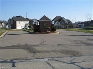 8834 Chinaberry Cir, Macedonia, OH 44056-2399