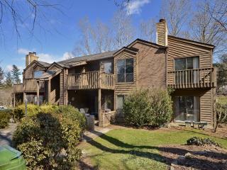 16 Ravencroft Ln, Asheville, NC 28803-2131