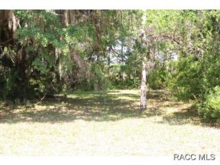 4655 Gator Loop, Homosassa, FL 34448-3326