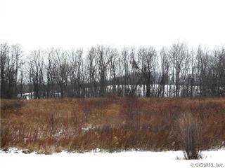 1856 Dalton Rd, Lima, NY 14485-9559