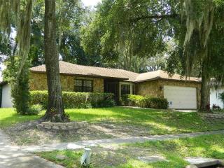 1101 Mook St, Brandon, FL 33510-2918