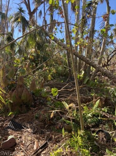 3548 Tangerine Dr, Saint James City FL  33956-2536 exterior