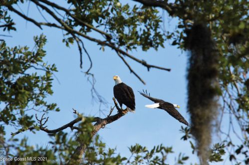 1295 Continental Ave, Melbourne FL 32940-6702 exterior