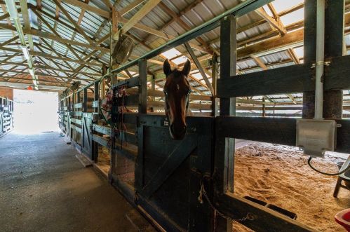 22528 Southshore Dr, Land O Lakes FL  34639-4726 exterior