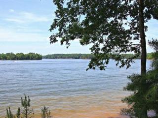 9525 Sweetleaf Pl, Charlotte, NC 28278-6876