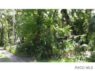 6462 Neff Ct, Hernando, FL 34442-2412