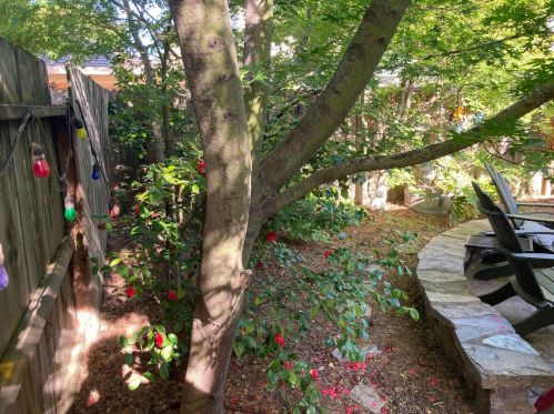 9959 Ferragamo Way, Elk Grove CA  95757-3037 exterior