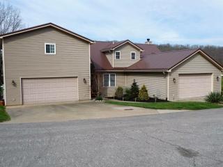 140 Bluffside Dr, Sparta, KY 41086-8896