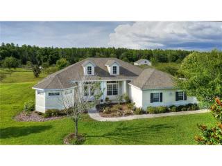 11446 Trotting Down Dr, Odessa, FL 33556-5900