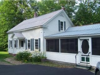 461 Grafton Rd, Townshend, VT 05353-9782