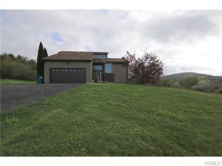 327 Willow Tree Rd, Milton, NY 12547-5303