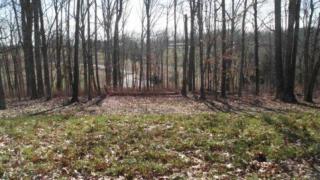 6288 Outlook Trl, Russellville TN  37860-3806 exterior