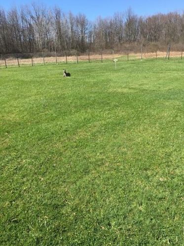 2376 Lake Rd, Hermitage PA  16150-3030 exterior