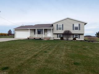 12941 Old Mill Rd, Spencer, OH 44275-9518