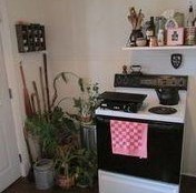 566 End Ave, Pittsburgh PA  15221-3232 exterior