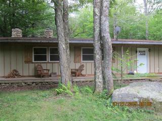 757 Red Hill Knolls Rd, Sundown, NY 12740-5906