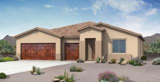 4305 Thunder Ranch Pl, Marana, AZ 85658-4740