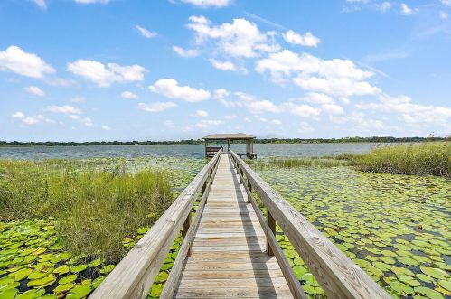 1619 Lake Villa Dr, Tavares, FL 32778-5743