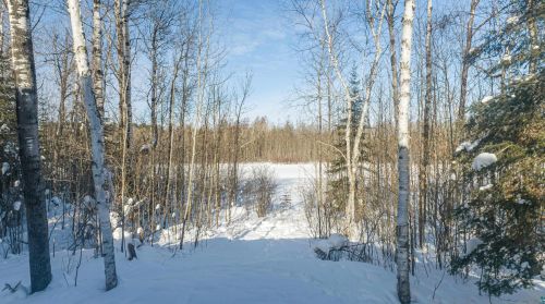 2241 Spaulding Dr, Ely MN  55731-1039 exterior