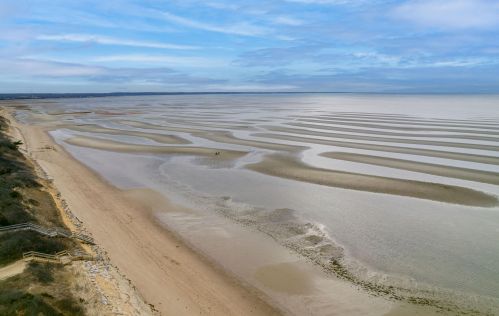 15 Beach Plum Ln, Eastham, MA 02642-2350