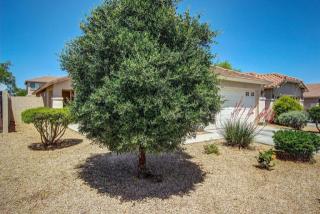 13938 Mauna Loa Ln, Sun City, AZ 85379-8672