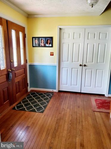 5945 Oakland Park Dr, Springfield, VA 22015-2442