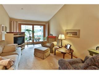 1289 Black Oaks Ct, Minneapolis, MN 55447-3119