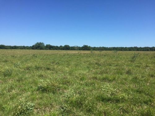 18809 Fm 442 Rd, Needville, TX 77461-7274