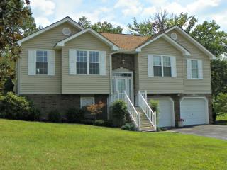 112 Carriage Ln, Blountville, TN 37617-6171