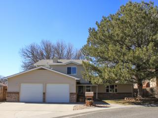 568 Cicero Dr, Palisade, CO 81526-9713