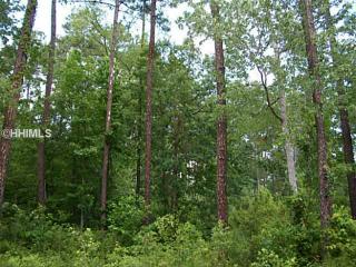 182 Cutter Cir, Bluffton SC  29909-4317 exterior