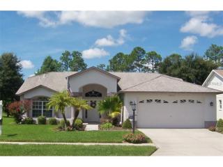18513 Hidden Pines Way, Port Richey, FL 34667-5754