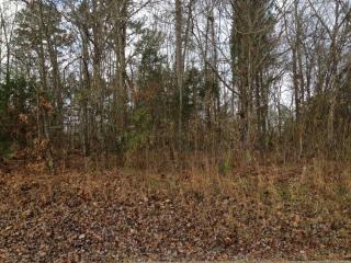 342 Mingo Way, Loudon, TN 37774-2945