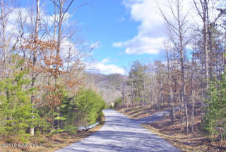 3050 New Ridge Rd, Elliston, VA 24087-3265