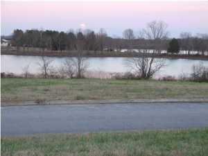 202 Summerfield Ln, Dayton, TN 37321-5350