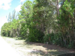15081 86th Rd, Town Of Loxahatchee Groves, FL 33470-4383