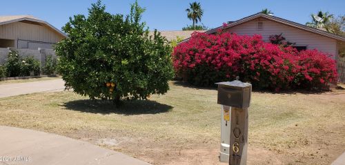 106 Elm Ct, Gilbert, AZ 85234-4533