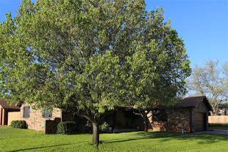 1500 Ward Rd, Ardmore, OK 73401-1242