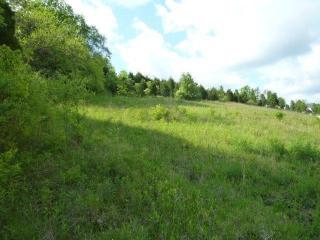 6659 Mount Subasio Ln, Newport, KY 41076-9232