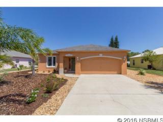 209 Falcon Ave, Edgewater, FL 32141-4193