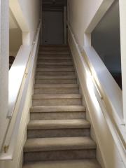 916 Sweet Leaf Ln, Pflugerville TX  78660-7966 exterior