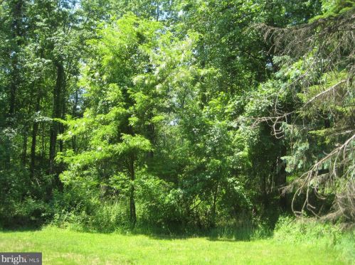 960 Mountain Rd, Siddonsburg PA  17019-9701 exterior