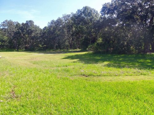 4838 Basswood St, Land O Lakes, FL 34639-5606