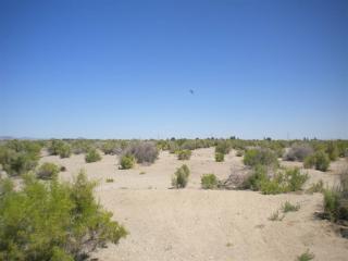 1859 Potpourri Dr, Fallon NV  89406-6446 exterior