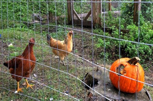 114 New Haven Ave, Derby CT 06418-2161 exterior