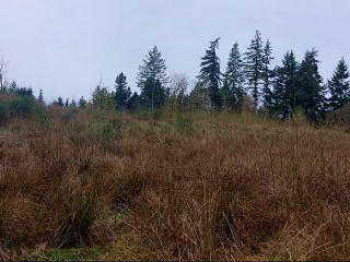 7400 Steamboat Island Rd, Olympia, WA 98502-9308