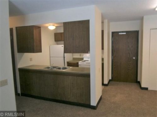 219 Clayton Ave, Turtle Lake WI  54004-9124 exterior