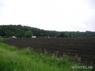 164 Shells Bush Rd, Herkimer, NY 13350-3904