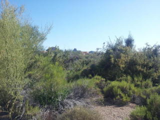 28838 106th Pl, Scottsdale, AZ 85262-4634